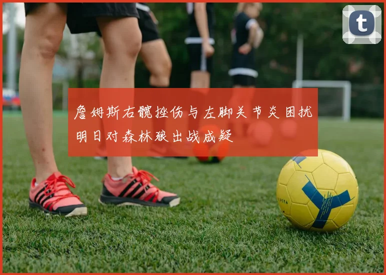詹姆斯右髋挫伤与左脚关节炎困扰明日对森林狼出战成疑