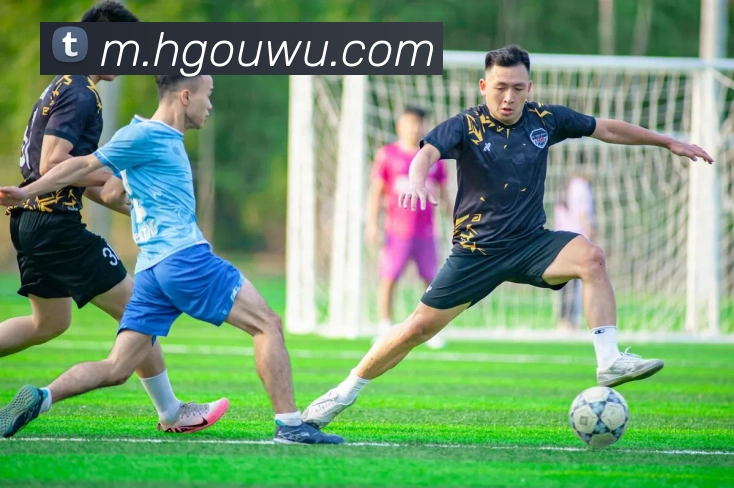 万博app体育官网服务体系